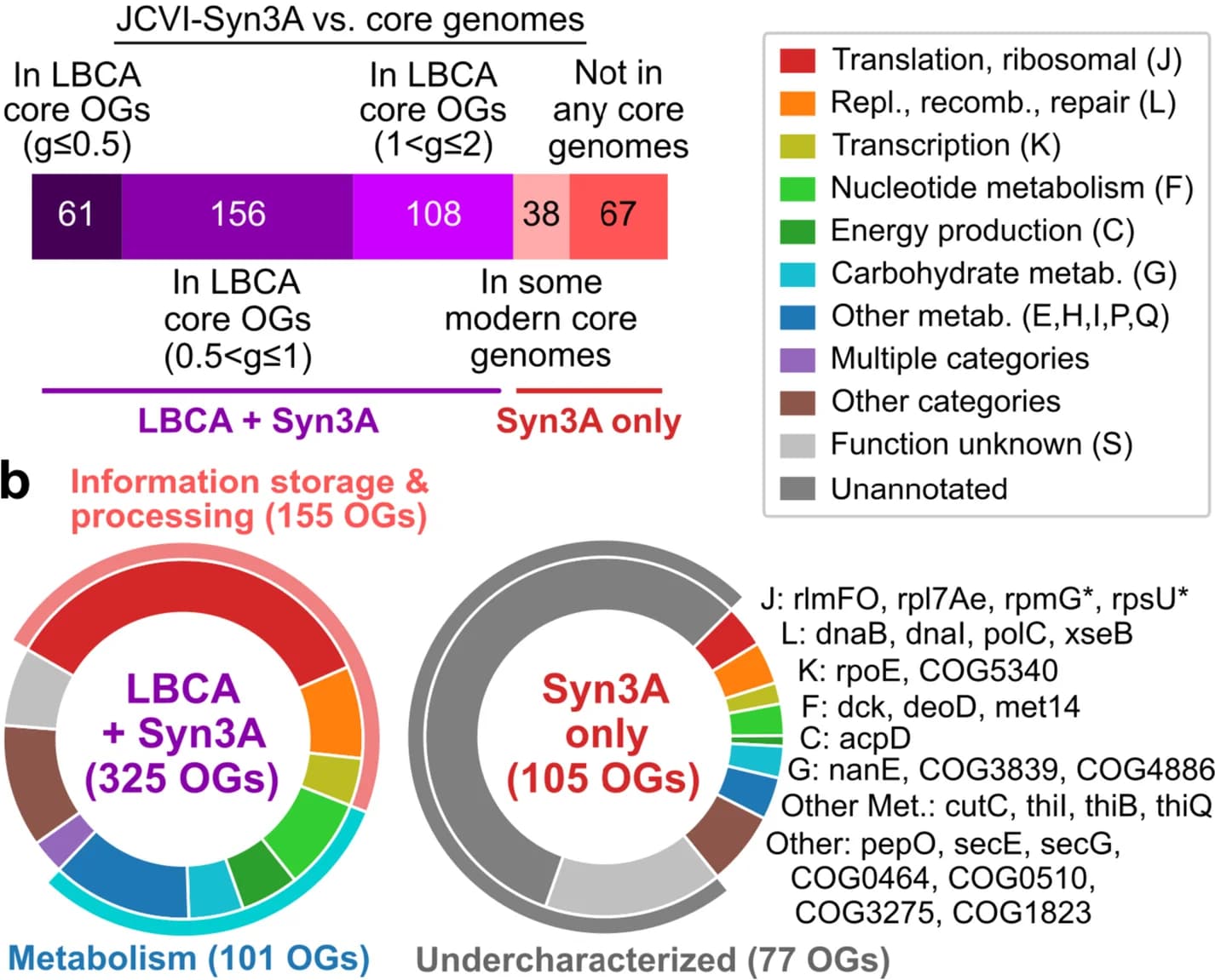 Open access visualization of Bar Plot, Pie Chart, Donut Chart, LBCA Core Genome, Syn3A Orthogroups
