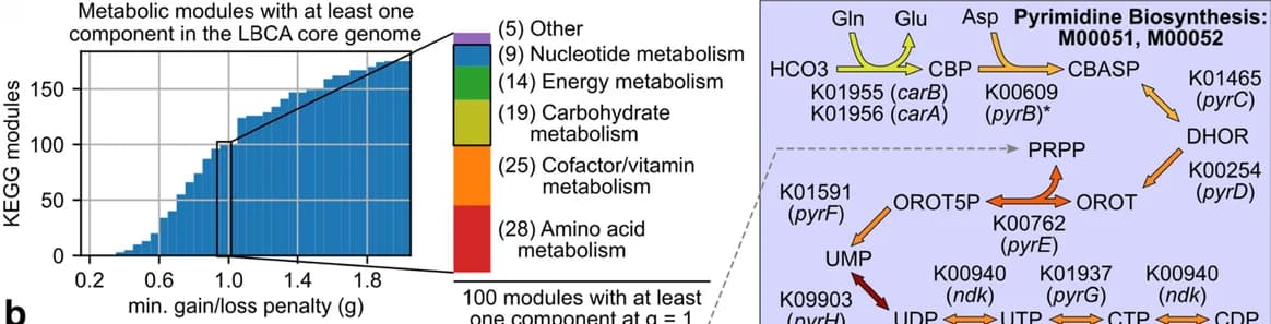 Open access visualization of Histogram, Workflow, KEGG Modules, LBCA Core Genome, Gain/Loss Penalty Thresholds