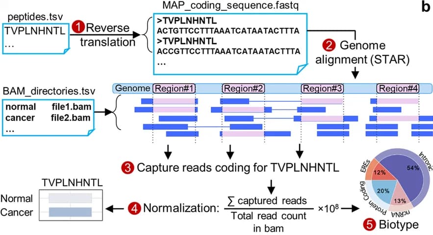 Open access visualization of Workflow, Flowchart, Pie Chart, Bar Plot, RNA expression