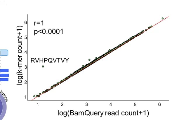 Open access visualization of Scatter Plot, Regression Plot, Pearson’s correlation, Read counts, K-mer counts