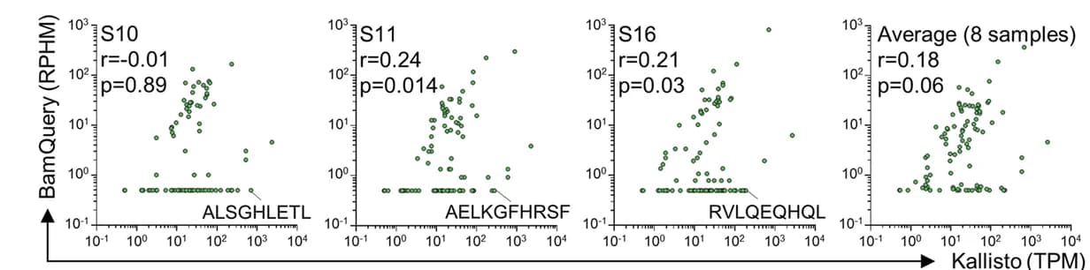 Open access visualization of Scatter Plot, Correlation, BamQuery, Kallisto, Mutated MAPs