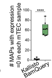 Open access visualization of Box Plot, Mutated MAPs, Expression, Kallisto, BamQuery