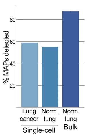 Open access visualization of Bar Plot, Error Bars, scRNA-seq, Bulk RNA-seq, Normal Lung