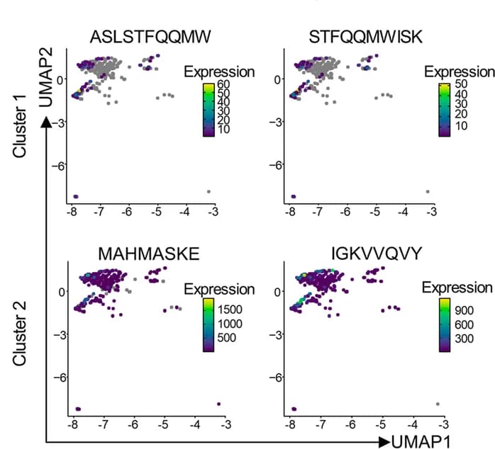 Open access visualization of Scatter Plot, UMAP, TSNE, MAP Expression, MAP Clusters