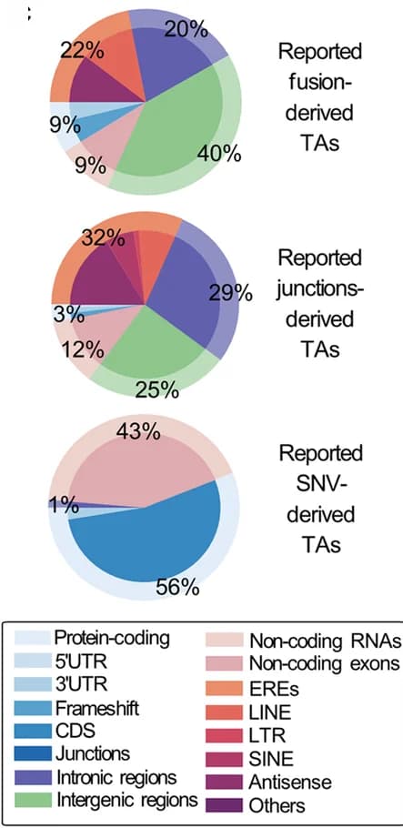 Open access visualization of Pie Chart, Biotype, Fusions, Junctions, SNVs-derived TAs