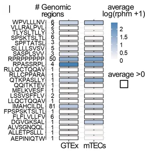 Open access visualization of Heatmap, RNA expression, Mutated TAs, Tissues, Genomic locations