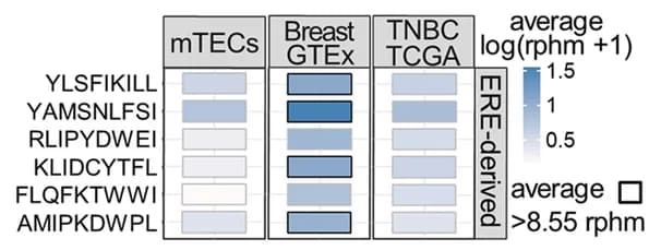 Open access visualization of Heatmap, RNA expression, EREs-derived TSAs, mTECs, Breast tissues