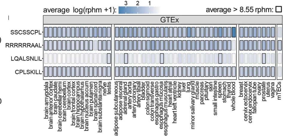 Open access visualization of Heatmap, RNA expression, EBV MAPs, Tissues