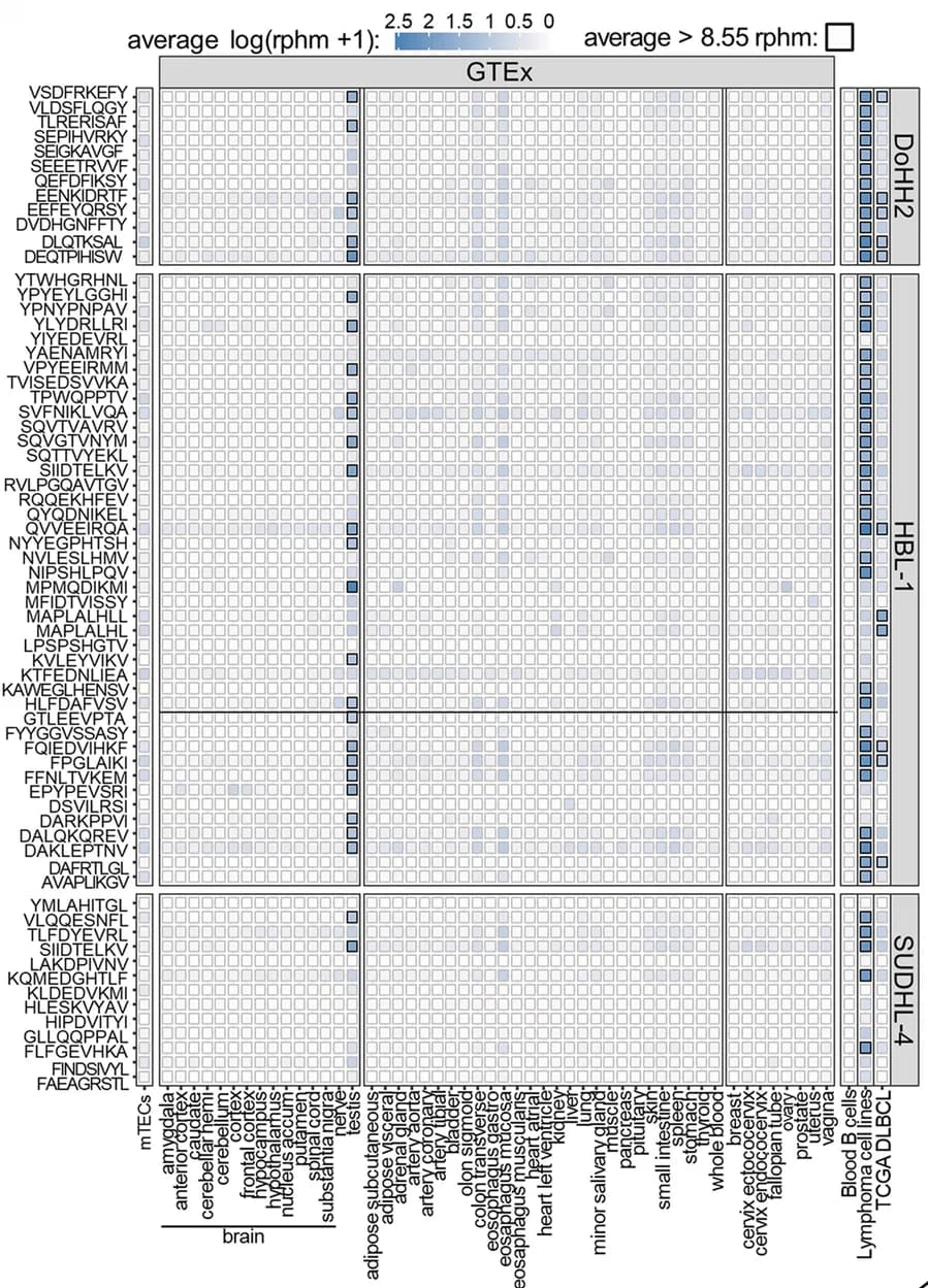Open access visualization of Heatmap, RNA expression, TSA candidates, Tissues, Peptide