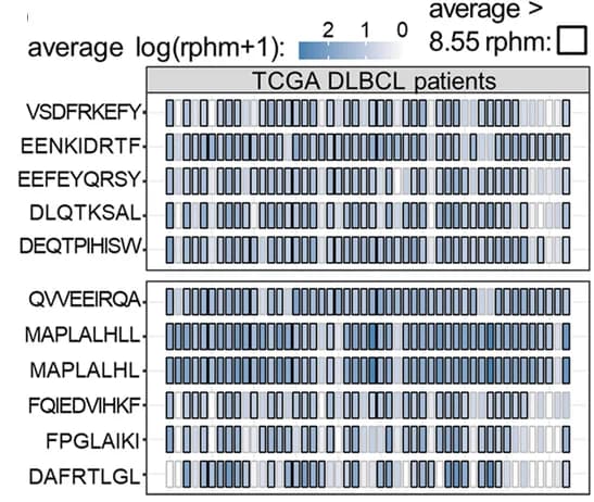 Open access visualization of Heatmap, RNA expression, TSA candidates, Cancer samples, DLBCL