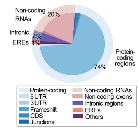 Open access visualization of Pie Chart, Biotype, TSA candidates