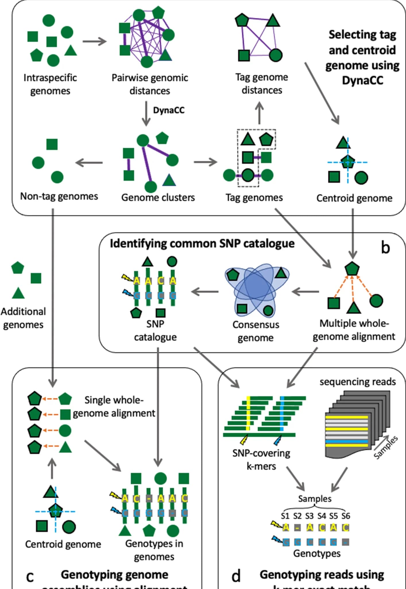 Open access visualization of Workflow, Flowchart, Tag Genomes, Centroid Genomes, Mash Distances