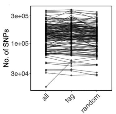 Open access visualization of Line Plot, Species, Genomes
