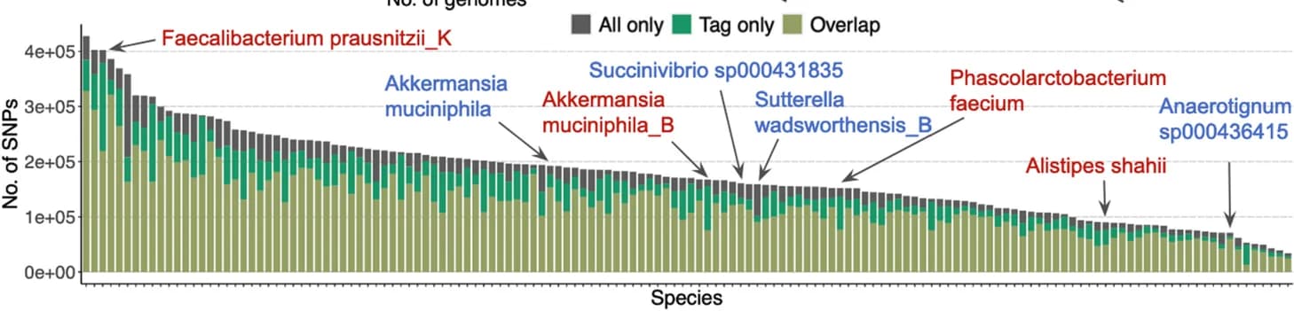 Open access visualization of Stacked Bar Plot, SNPs, Maast, Genomes, Tag Genomes