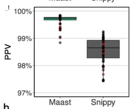 Open access visualization of Box Plot, Violin Plot, Genotyping Accuracy, Maast, Snippy
