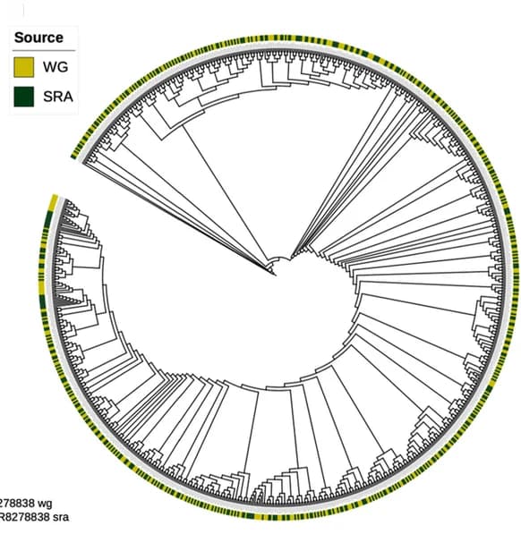 Open access visualization of Network, Pathway, Genotype Concordance, Maast, Genome