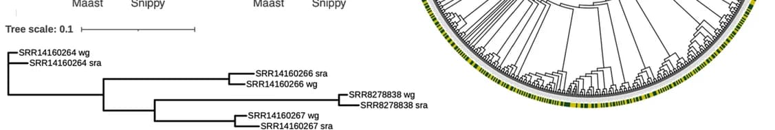 Open access visualization of Network, Pathway, Genotype Concordance, Maast, Genome