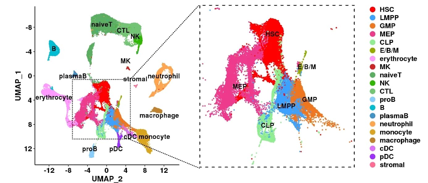 Open access visualization of Scatter Plot, UMAP, Hematopoietic Cells, Cell Types, HSPC Clusters