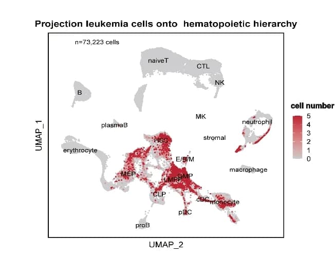 Open access visualization of UMAP, UMAP Plot, Leukemic Cells, AML Patients, Hematopoietic Hierarchy