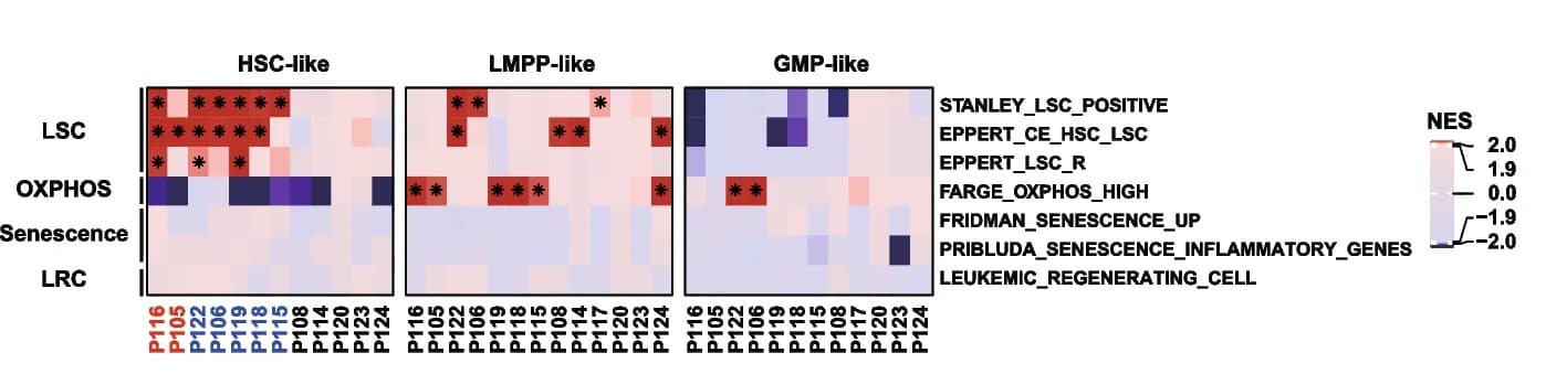 Open access visualization of Heatmap, Clustered, GSEA, Expression Signatures, HSPC-like Population