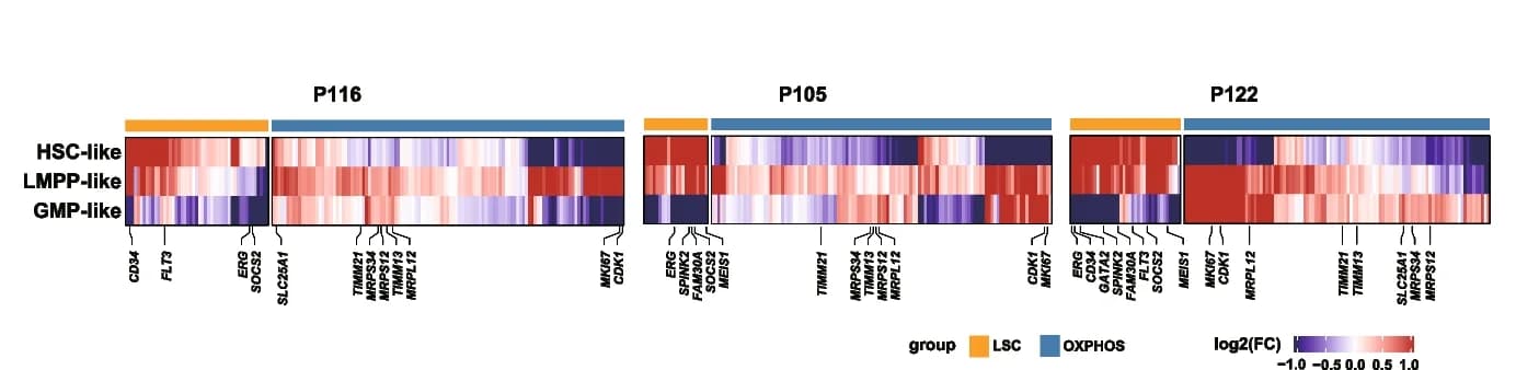 Open access visualization of Heatmap, Heatmaps, Expression Fold Changes, Core Enriched Genes, LSC Signature
