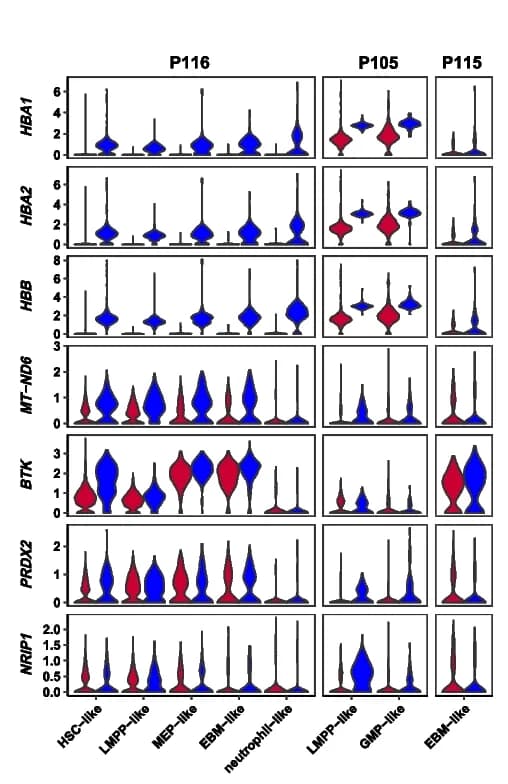 Open access visualization of Violin Plot, Violin Plots, Gene Expression, Heme Metabolism, Signaling Pathways