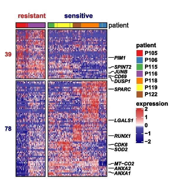 Open access visualization of Heatmap, Differentially Expressed Genes, HSC-like Populations, Resistant Cases, Sensitive Cases