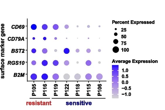 Open access visualization of Bubble Plot, Heatmap, Dot Plots, Surface Marker Genes, Resistant Cases