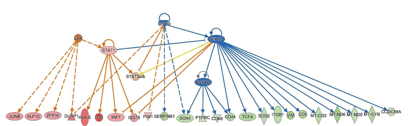 Open access visualization of Pathway, Regulatory Network, Upstream Regulators, HSC-like Cells, Resistant Cases