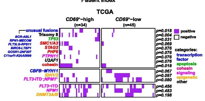 Open access visualization of Heatmap, Genomic alterations, TCGA-AML patients, Cohesin, FLT3-ITD