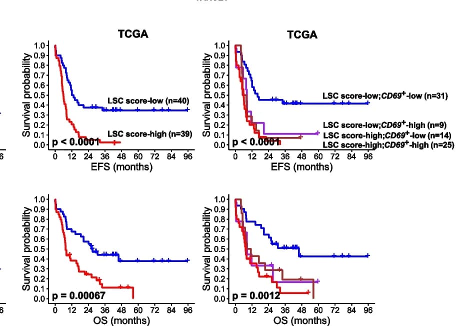 Open access visualization of Survival Curve, Kaplan-Meier curves, TCGA-AML patients, LSC score, CD69+ HSC-like