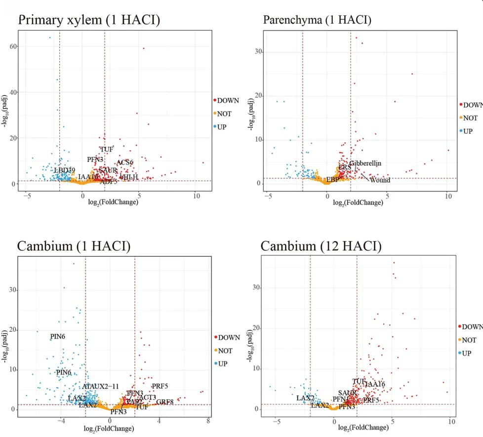 Open access visualization of Volcano Plot, Scatter Plot, Gene Expression, Differential Expression, Fold-Change