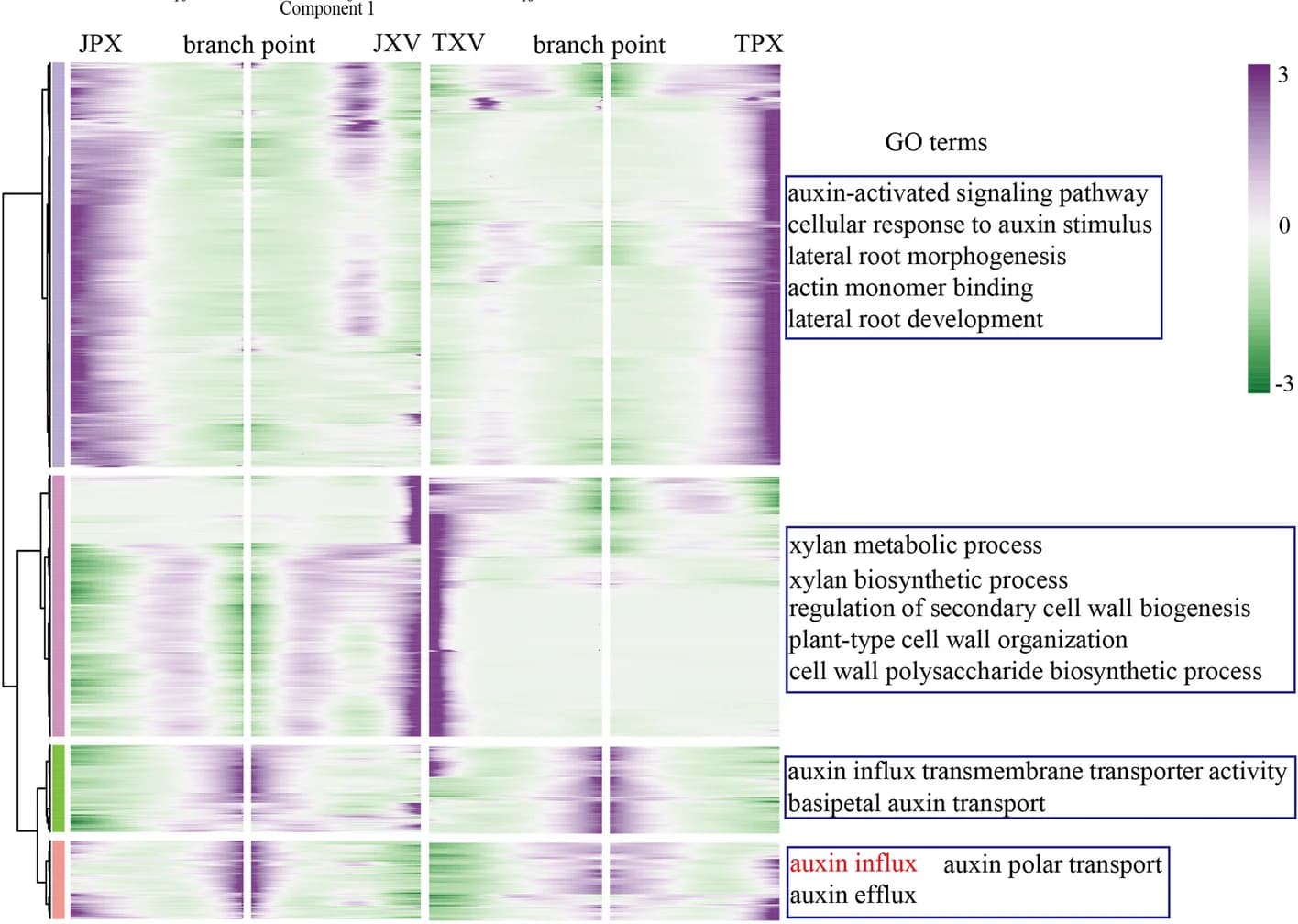 Open access visualization of Heatmap, Clustered, Branch-dependent Genes, Pseudotime, GO Terms