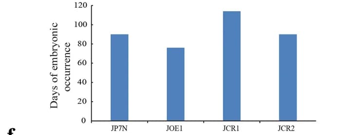 Open access visualization of Bar Plot, Embryonic Callus, Transgenic Explants