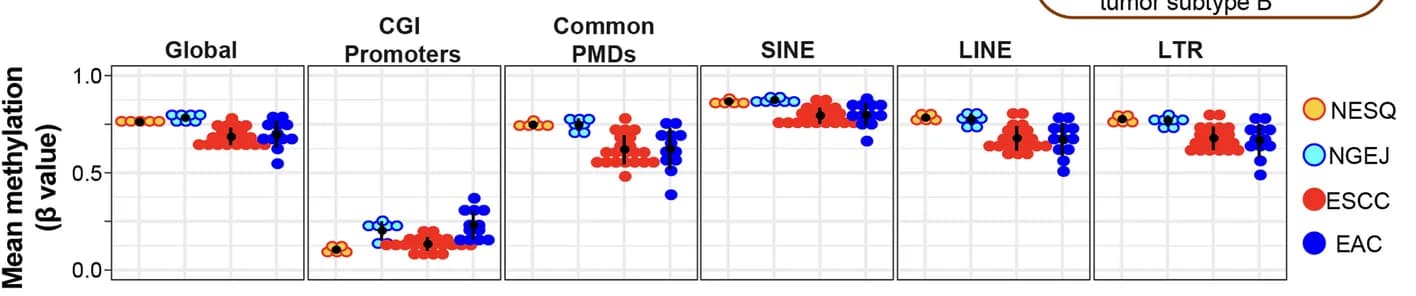 Open access visualization of Scatter Plot, Error Bars, CpGs, Genome, CGI Promoters