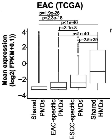 Open access visualization of Box Plot, EAC, ESCC, PMDs, Gene Expression