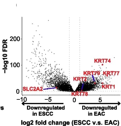 Open access visualization of Volcano Plot, Volcano Plots, Gene Expression, Genome Domains, Downregulated Genes