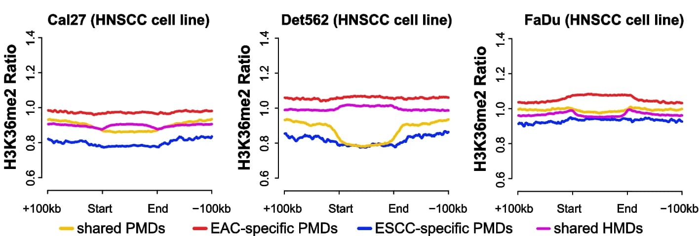 Open access visualization of Line Plot, H3K36me2, ChIP-seq, HNSCC Cell Lines, PMD