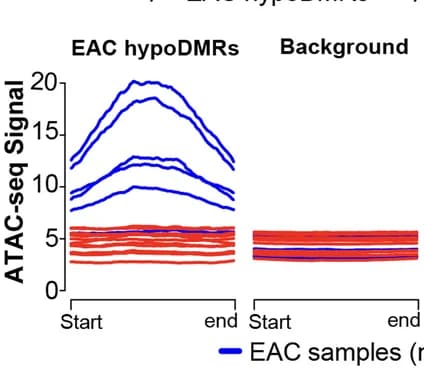 Open access visualization of Line Plot, ATAC-seq, Esophageal Cancer, EAC, ESCC