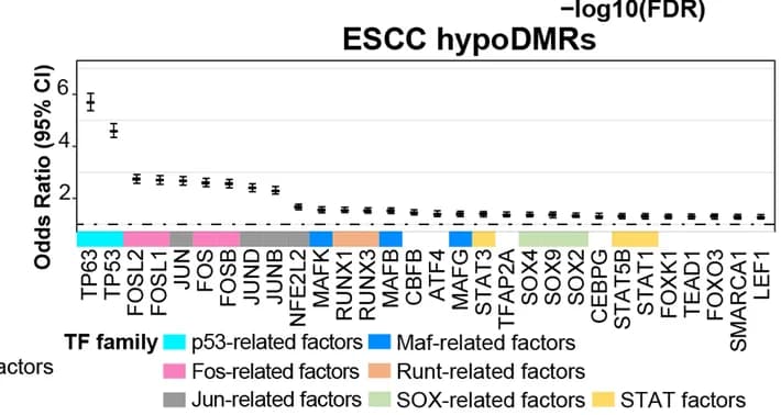 Open access visualization of Bar Plot, Error Bars, Transcription-factor-binding Motif Sequences, EAC, ESCC