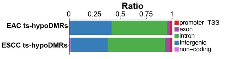 Open access visualization of Stacked Bar Plot, Stacked Bar Plots, ts-hypoDMRs, Genomic Features