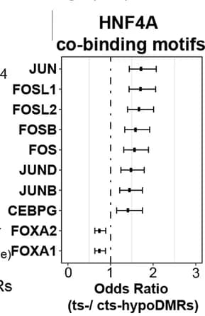 Open access visualization of Forest Plot, Error Bars, HNF4A, AP-1 Family, FOXA1/2