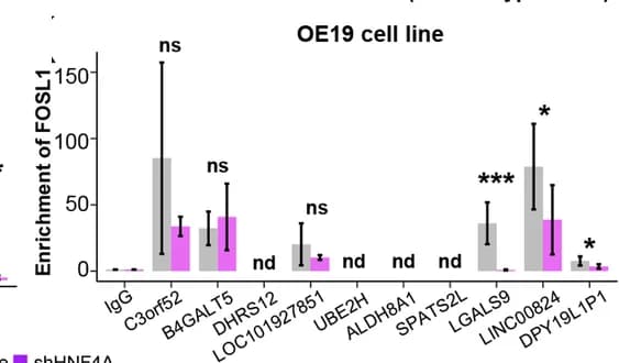 Open access visualization of Bar Plot, Error Bars, Clustered, FOSL1, ChIP-qPCR Assays