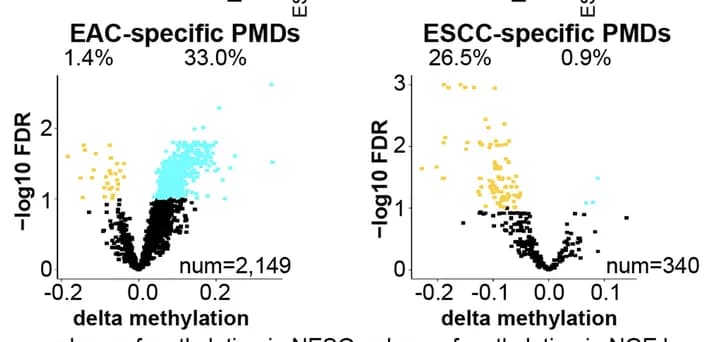 Open access visualization of Volcano Plot, Scatter Plot, Volcano Plots, Methylation Levels, PMD