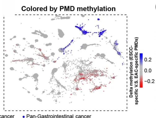 Open access visualization of Scatter Plot, UMAP, DNA methylation, ESCC-specific PMDs, EAC-specific PMDs