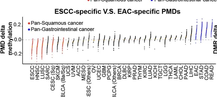 Open access visualization of Scatter Plot, Dot plot, Quantification, Methylation differences