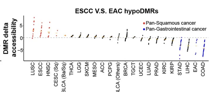 Open access visualization of Scatter Plot, Error Bars, Dot plots, Quantification, ATAC-seq