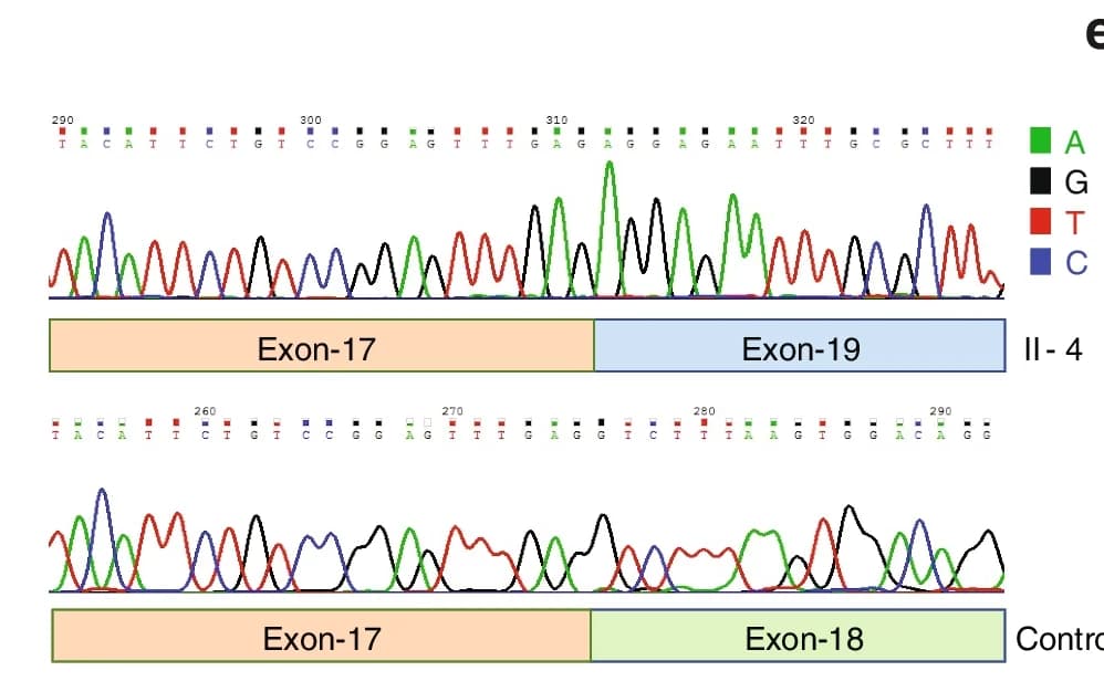 Open access visualization of Line Plot, Density Plot, cDNA Sequence, OXR1, Mutation Site