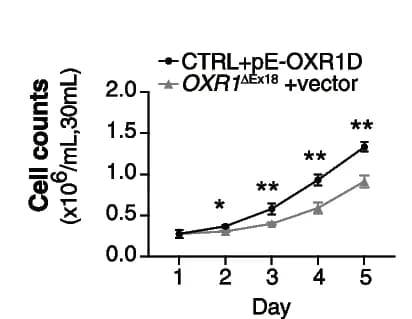 Open access visualization of Line Plot, Error Bars, Proliferation, Lymphoblasts, OXR1D