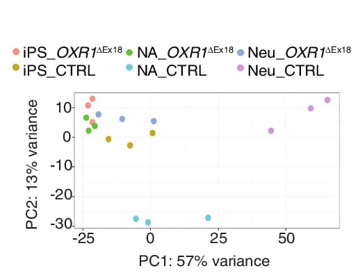Open access visualization of Scatter Plot, PCA, Principal Components Analysis, Clustering, Principal Component 1